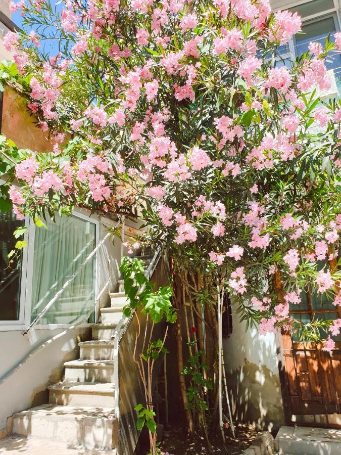 Bon Voyage Hostel Τυφλίδα Εξωτερικό φωτογραφία